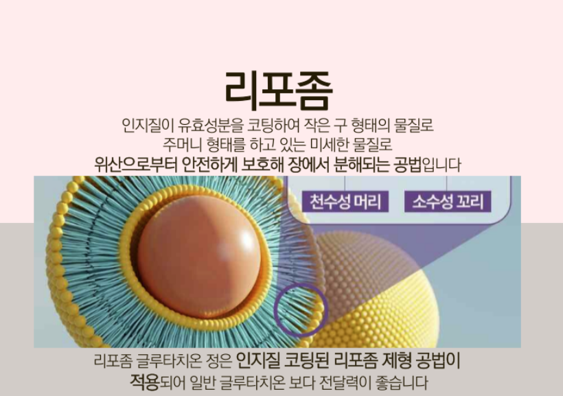 리포글루타치온콜라겐 리포즘글루타치온 리포좀 60정 - 상세 이미지 3