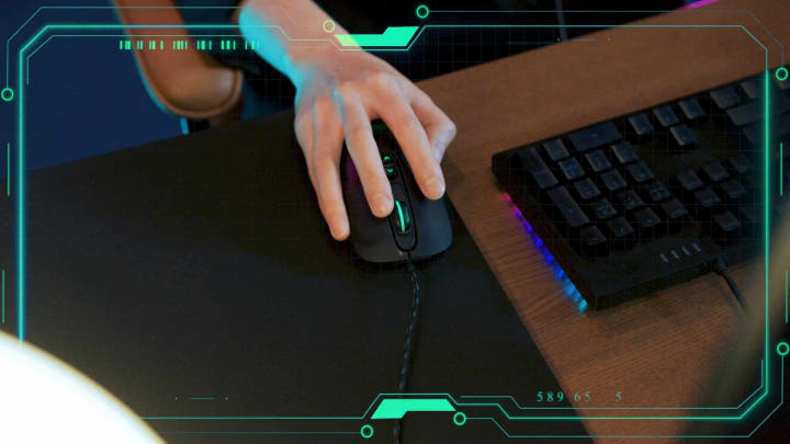 모니터 후면 단자 구성