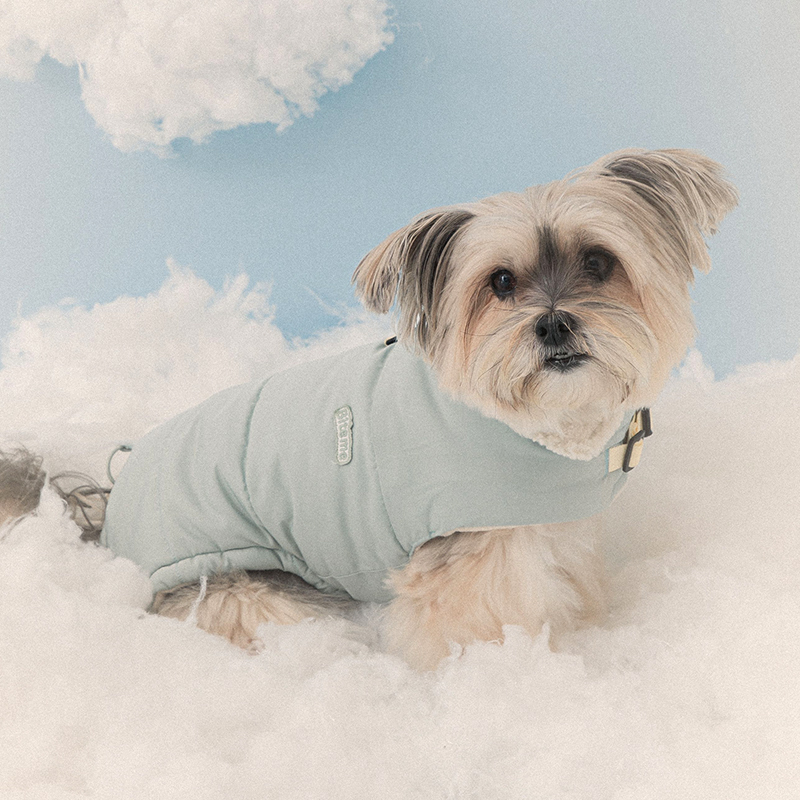 강아지 겨울패딩 조끼 반려견 애견겨울옷 강아지 하네스 머스타드