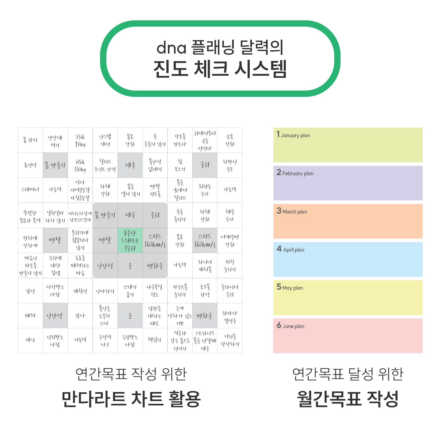 dna 2026년 탁상 스케줄러 만년 위클리 먼슬리 주간 월간 업무 스터디 다이어리 플래너 습관 달력 만다라트 계획표 상세 이미지 5