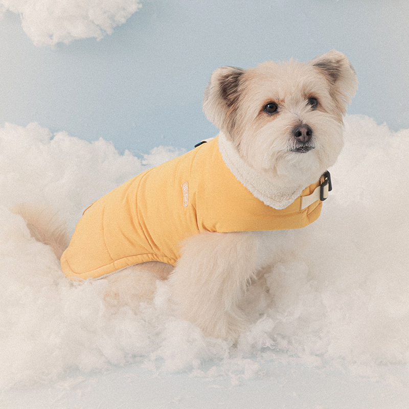 강아지 겨울패딩 조끼 반려견 애견겨울옷 강아지 하네스 머스타드