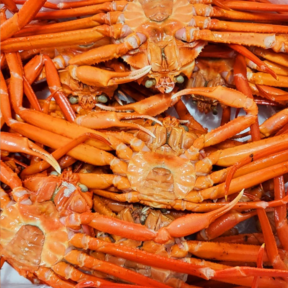 산지직송 구룡포 연지 홍게 붉은 대게 영덕 박달 연지홍게 3kg