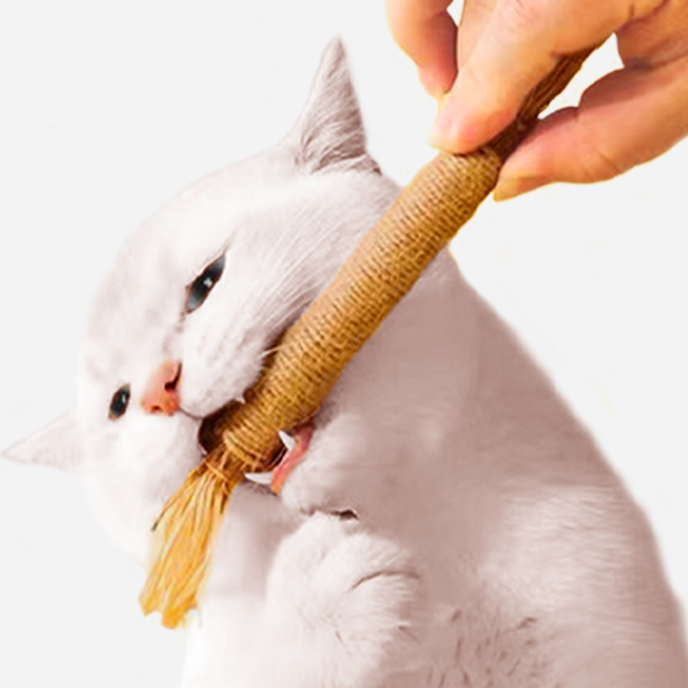 더보양 마따따비 고양이 이갈이 장난감 집사 냥이 놀이용품 2개입, 1팩 - 상세 이미지 2