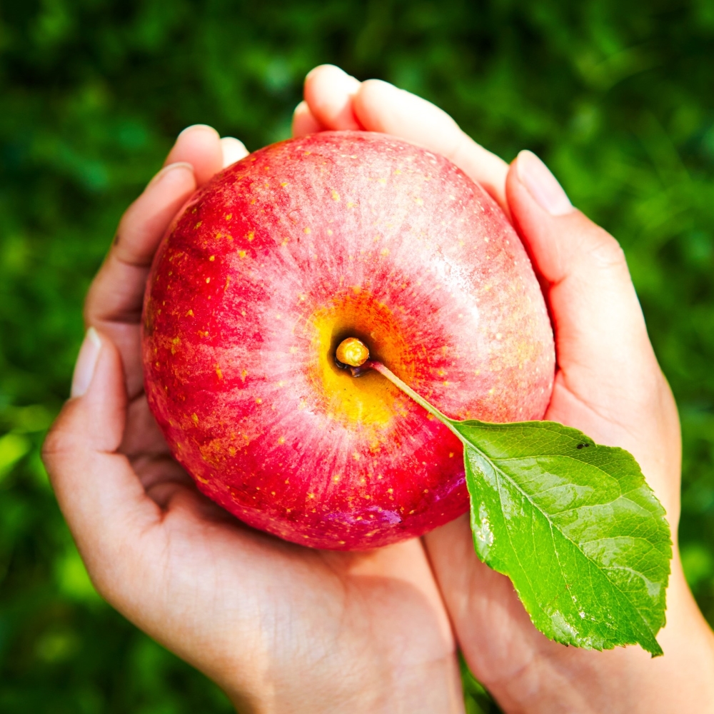 홍로사과 부사 아리수 고당도 경북 사과 2kg 3kg