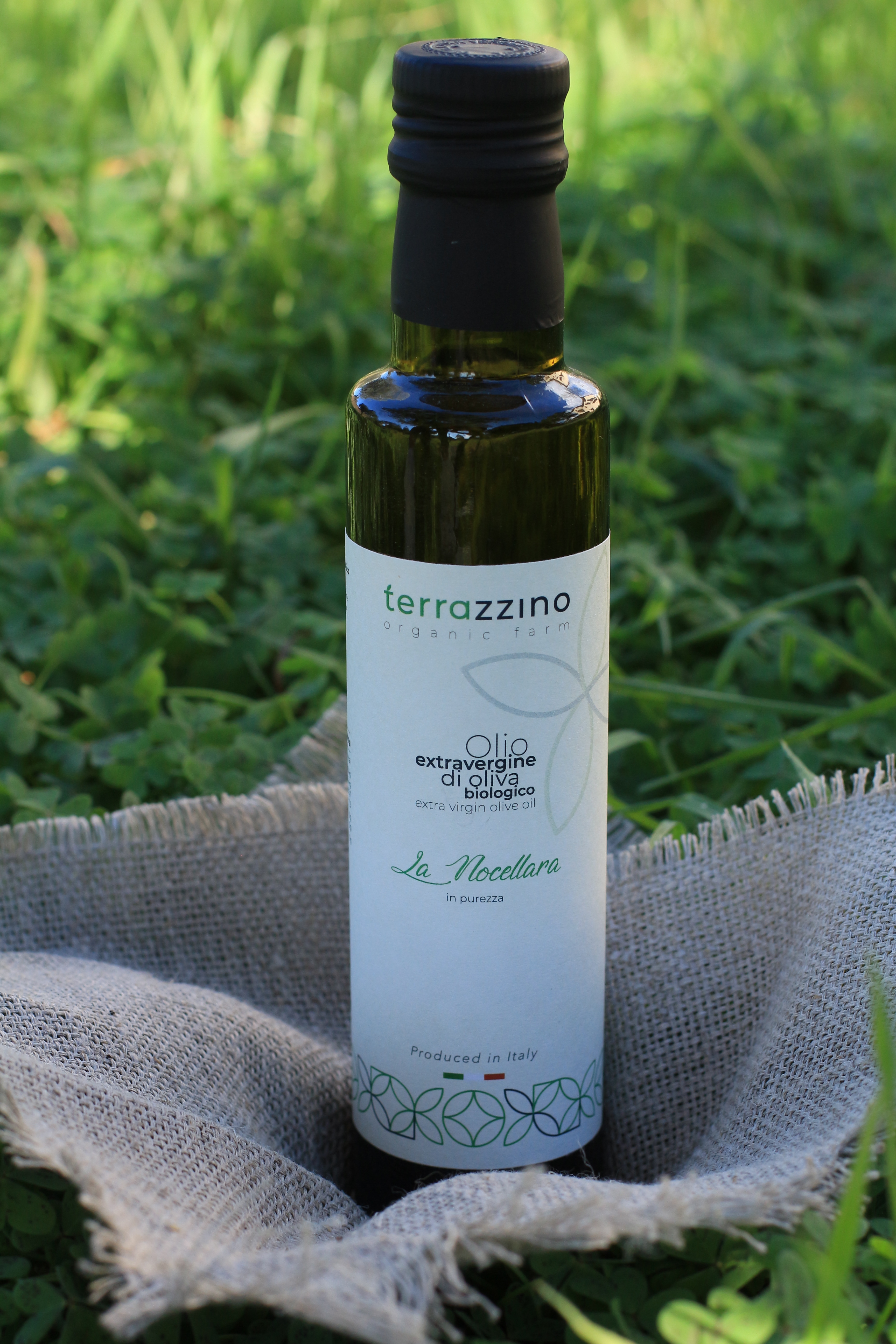 테라찌노 유기농 최상급 엑스트라버진 올리브오일 라노첼라라 500ml 산도 0.15 단일품종 고올레인산 당일압착 고열 냉압착 화학첨가없음 - 상세 이미지 2