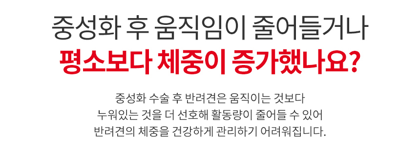 로얄캐닌 독 미니 스테럴라이즈드, 1kg, 1개 이미지 7