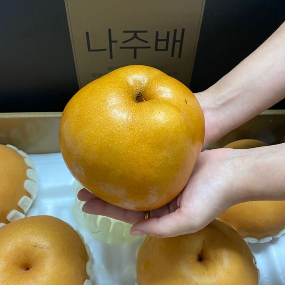 특품 나주 배 신선한 햇배 명절 선물 5kg 5-7과 : BlingBox