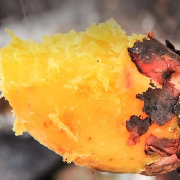 특상 베니하루카3kg 숙성꿀고구마3kg 베로니카 고구마 - 상품 이미지