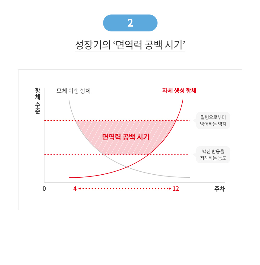 [유통기한 2026.11.16] 로얄캐닌 독 맥시 퍼피, 4kg, 1개