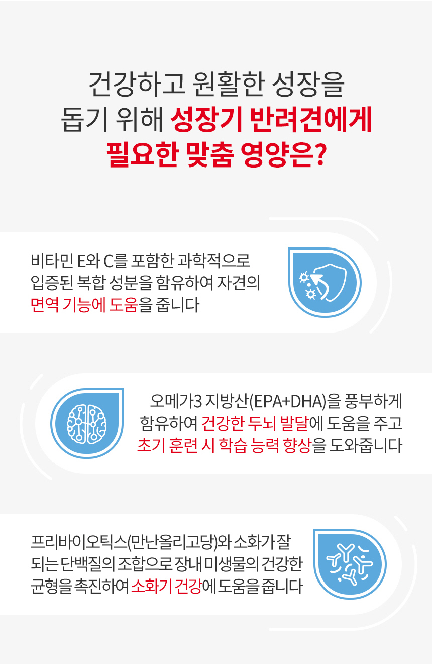 [유통기한 2026.11.16] 로얄캐닌 독 맥시 퍼피, 4kg, 1개