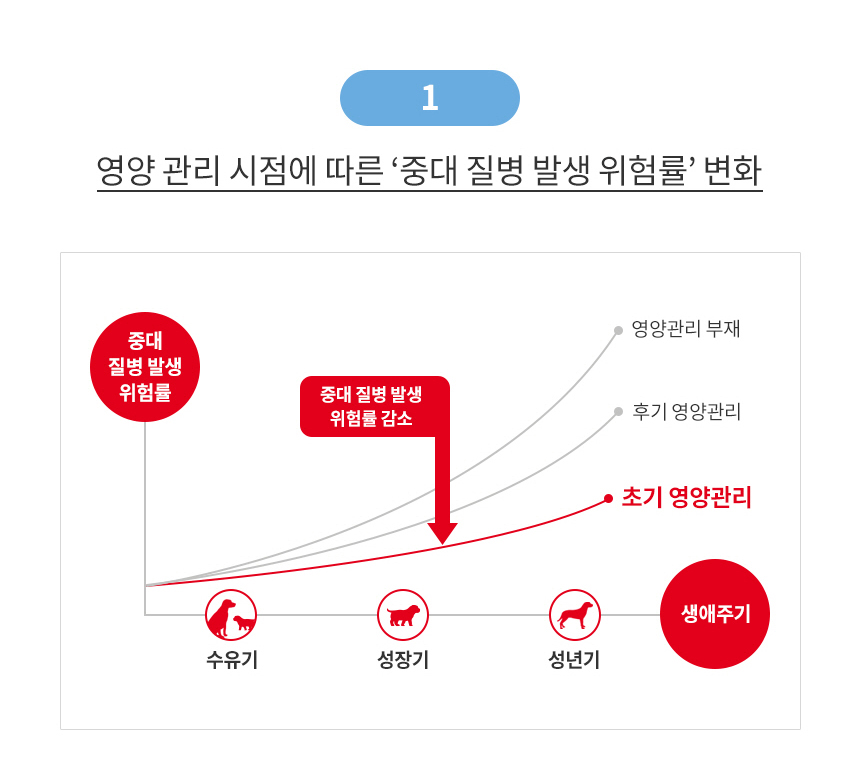 [유통기한 2026.11.16] 로얄캐닌 독 맥시 퍼피, 4kg, 1개
