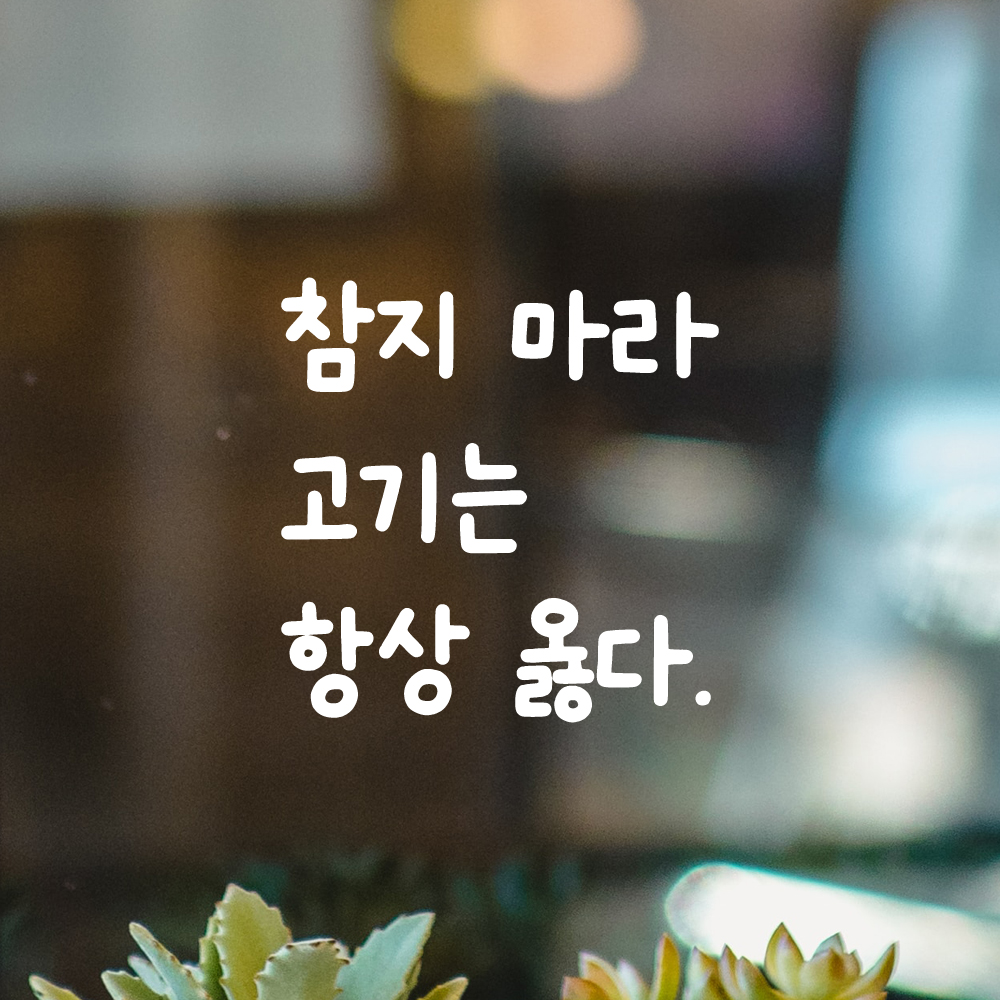 귀여운 손글씨 레터링 스티커 참지 마라 고기는 항상 옳다 LMM-110S 검정 - 상세 이미지 2