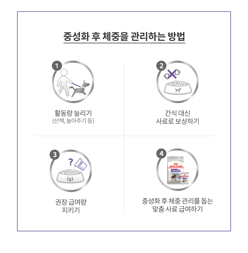 로얄캐닌 독 미니 스테럴라이즈드, 1kg, 1개 이미지 8