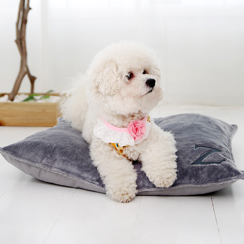 더플래  제트 강아지방석 강아지집 침대