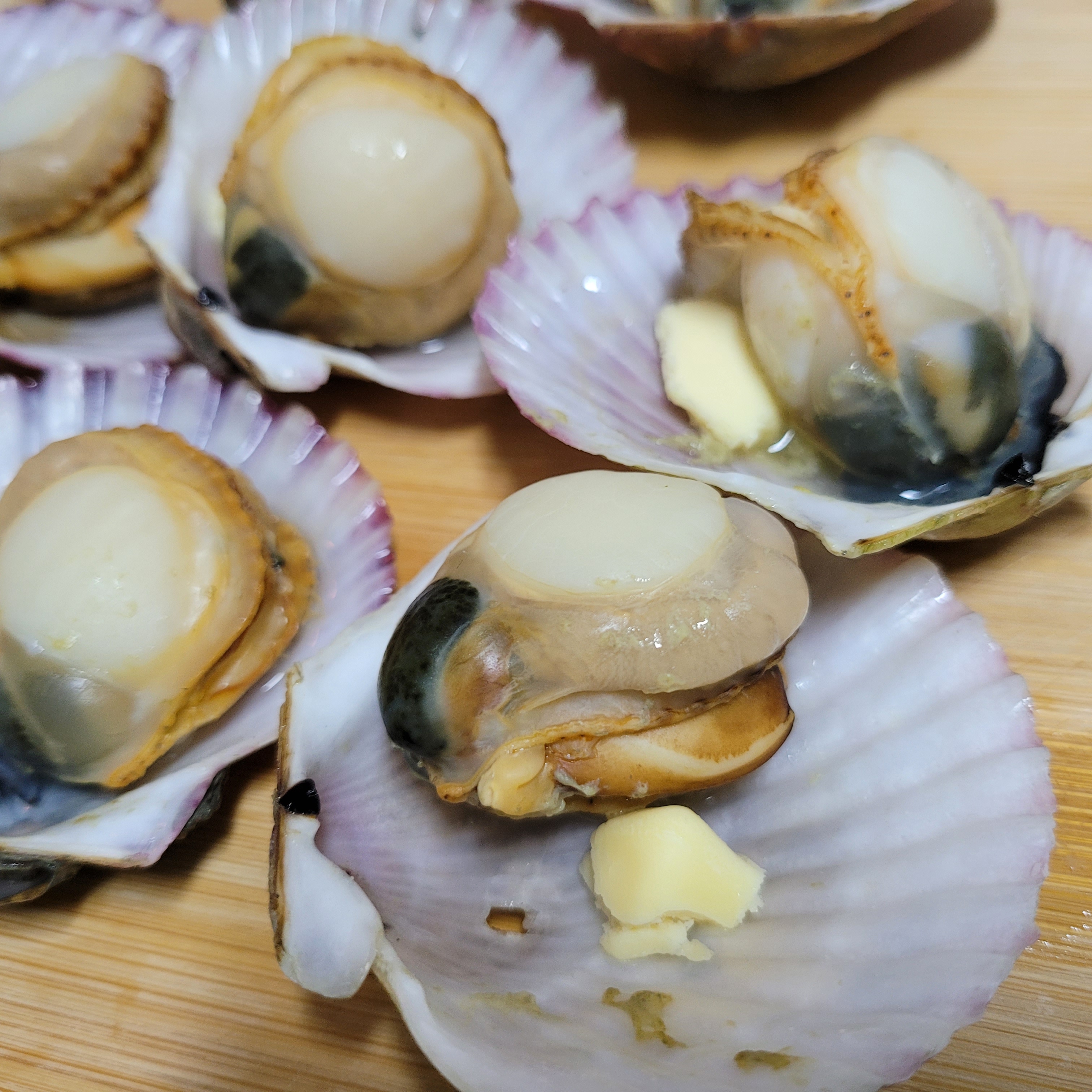 통영 제철 홍가리비 1kg 산지직송 세척 최상급 - 상세 이미지 2