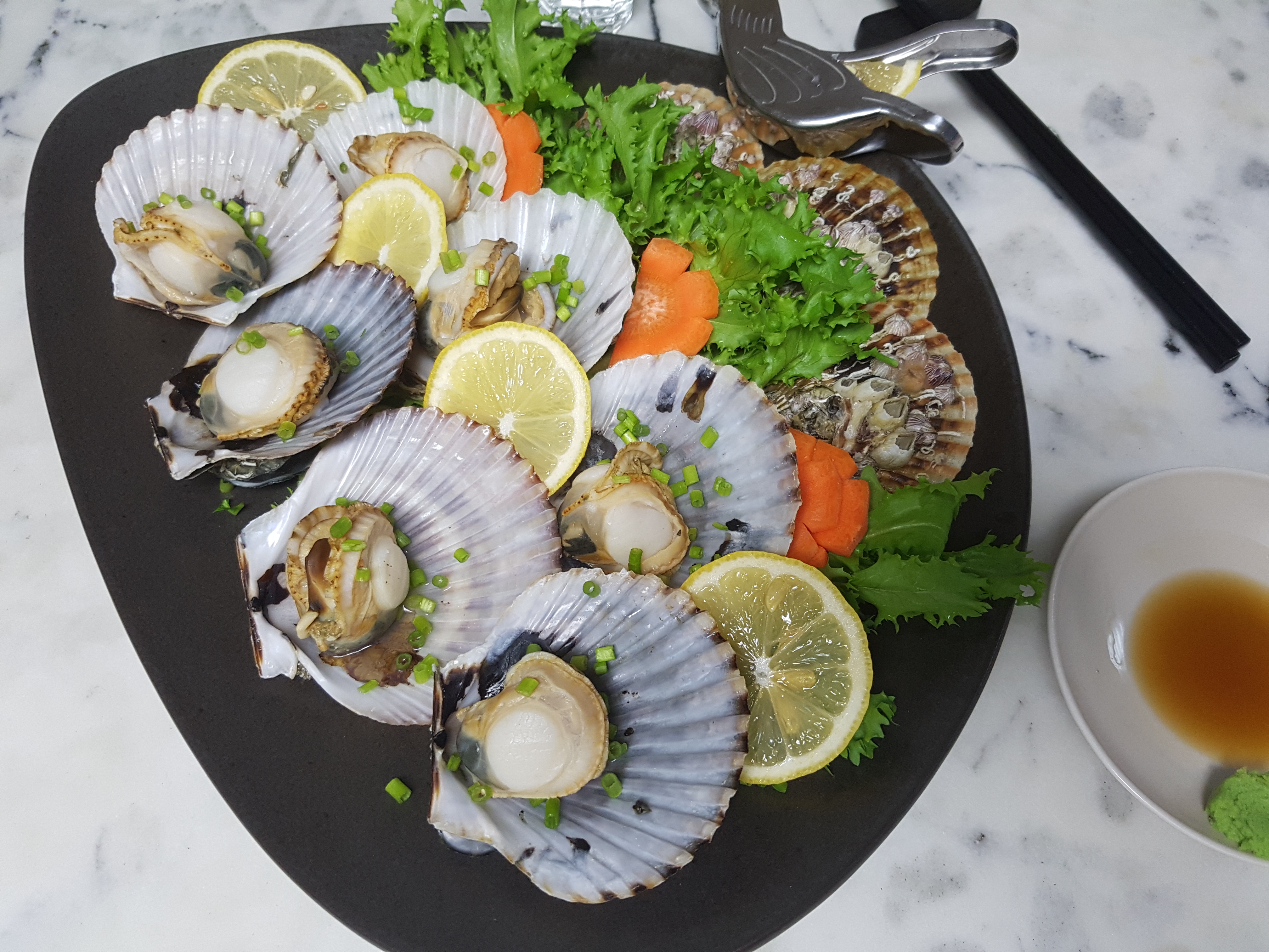 통영 제철 홍가리비 1kg 산지직송 세척 최상급 - 상세 이미지 4