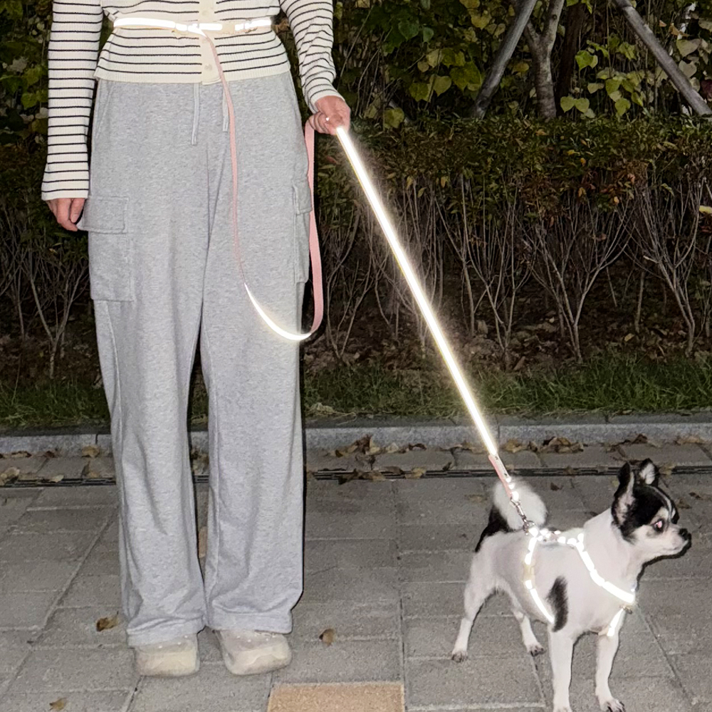 [강아지의날] 이름각인 야간반사 앞섬방지 H형 강아지 하네스 가슴줄 이미지 4