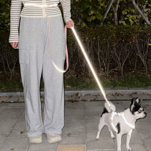 [강아지의날] 이름각인 야간반사 앞섬방지 H형 강아지 하네스 가슴줄 솔직 후기 | 실제 사용자 리뷰 총정리 - 상품 이미지 4