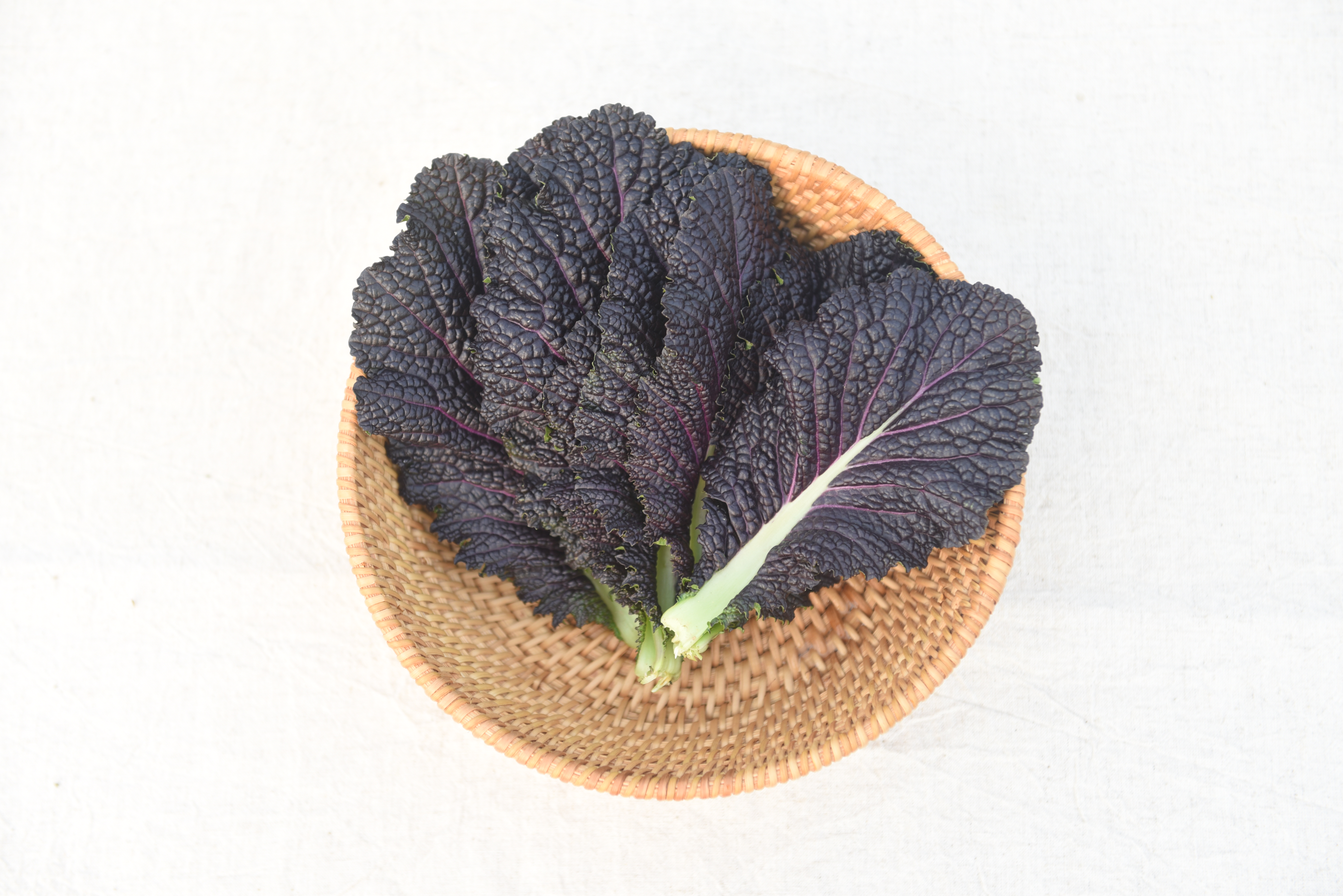 적겨자 겨자 쌈채소 500g 1kg 농장직송 - 상세 이미지 2