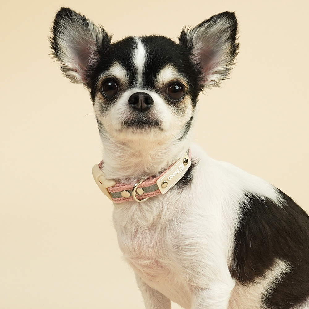 이름각인 야간반사 강아지 고양이 인식표 목줄 이미지 2