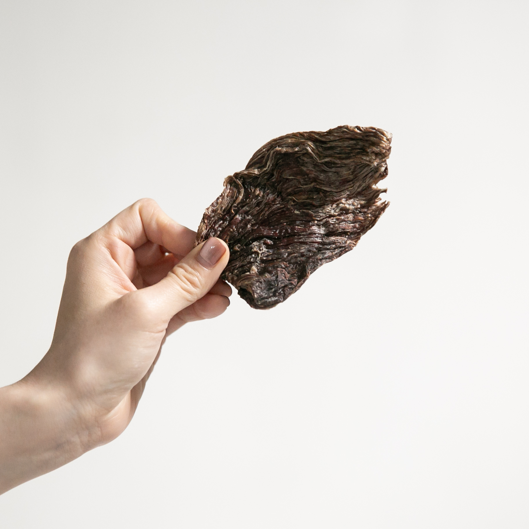 강아지 수제 간식 소형견 대형견 소고기 육포 50g 이미지 3