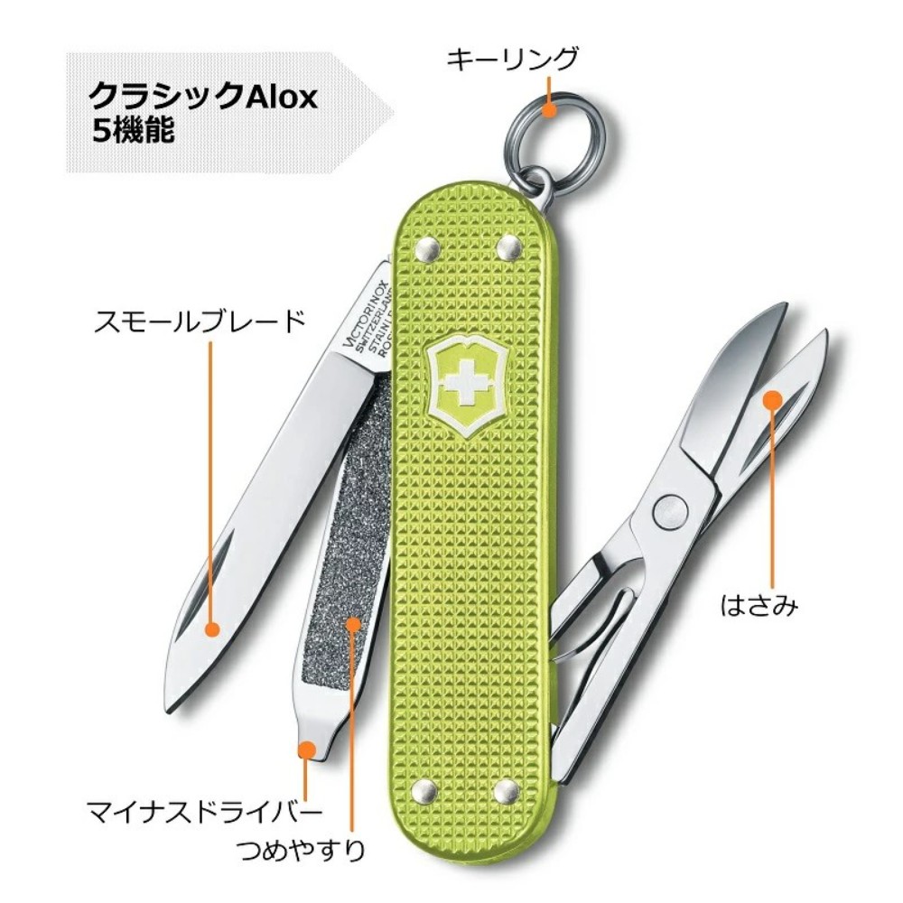 VICTORINOX 빅토리녹스 클래식 ALOX 폴딩 나이프 접이식 멀티툴 캠핑 아웃도어 - 상세 이미지 4