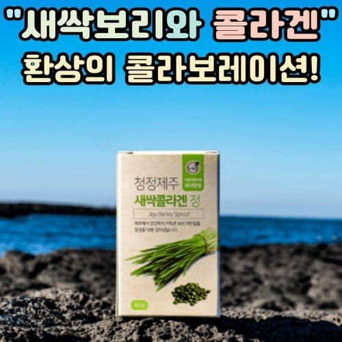 제주 마썸 새싹보리 저분자피쉬콜라겐정 펩타이드 80g 푸른들 느랑풀 아미노산 비타민 폴리코사놀 사포나린 : 건강톡
