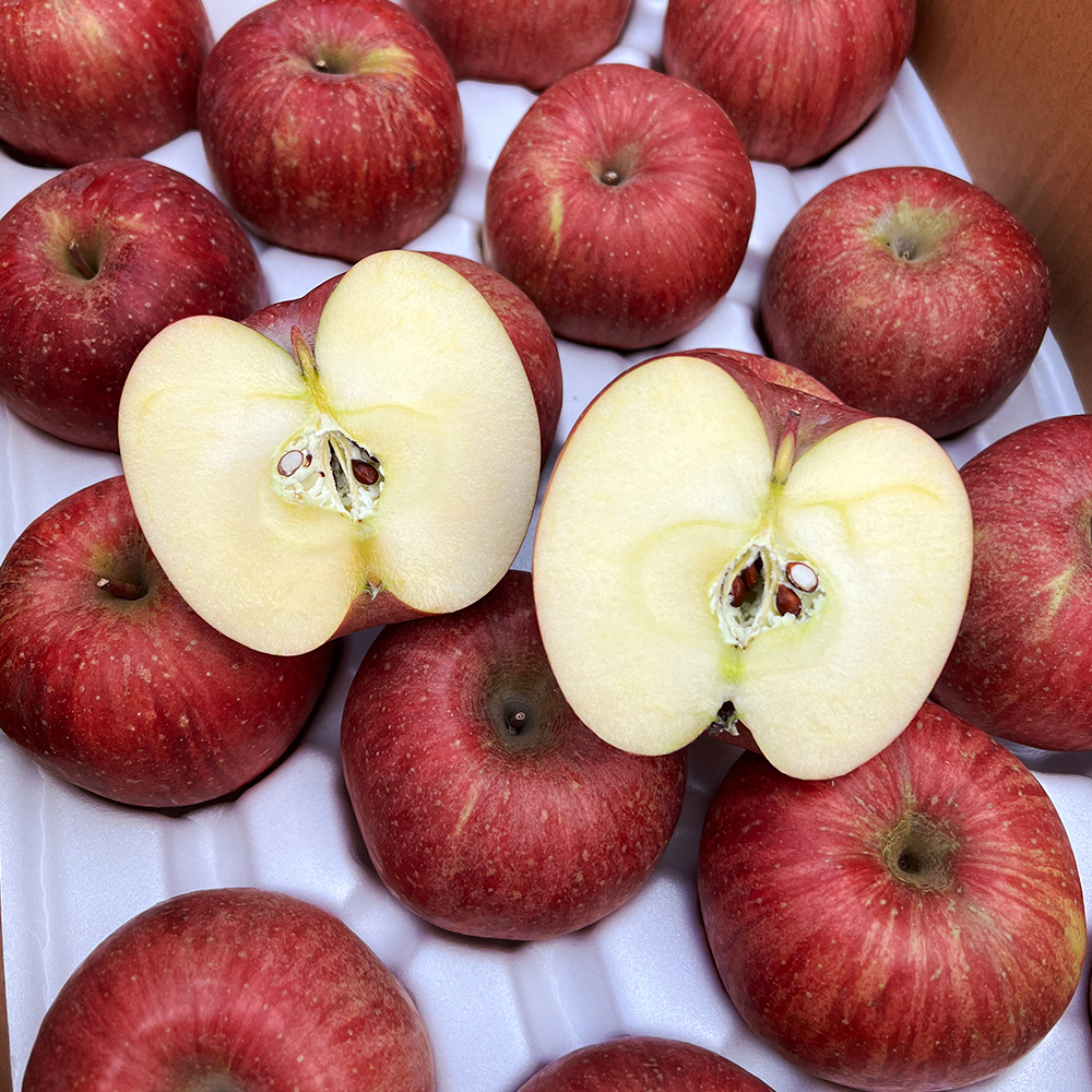 홍로 햇 사과 꿀사과 경북 청송 안동 고당도 특품 3kg 5kg
