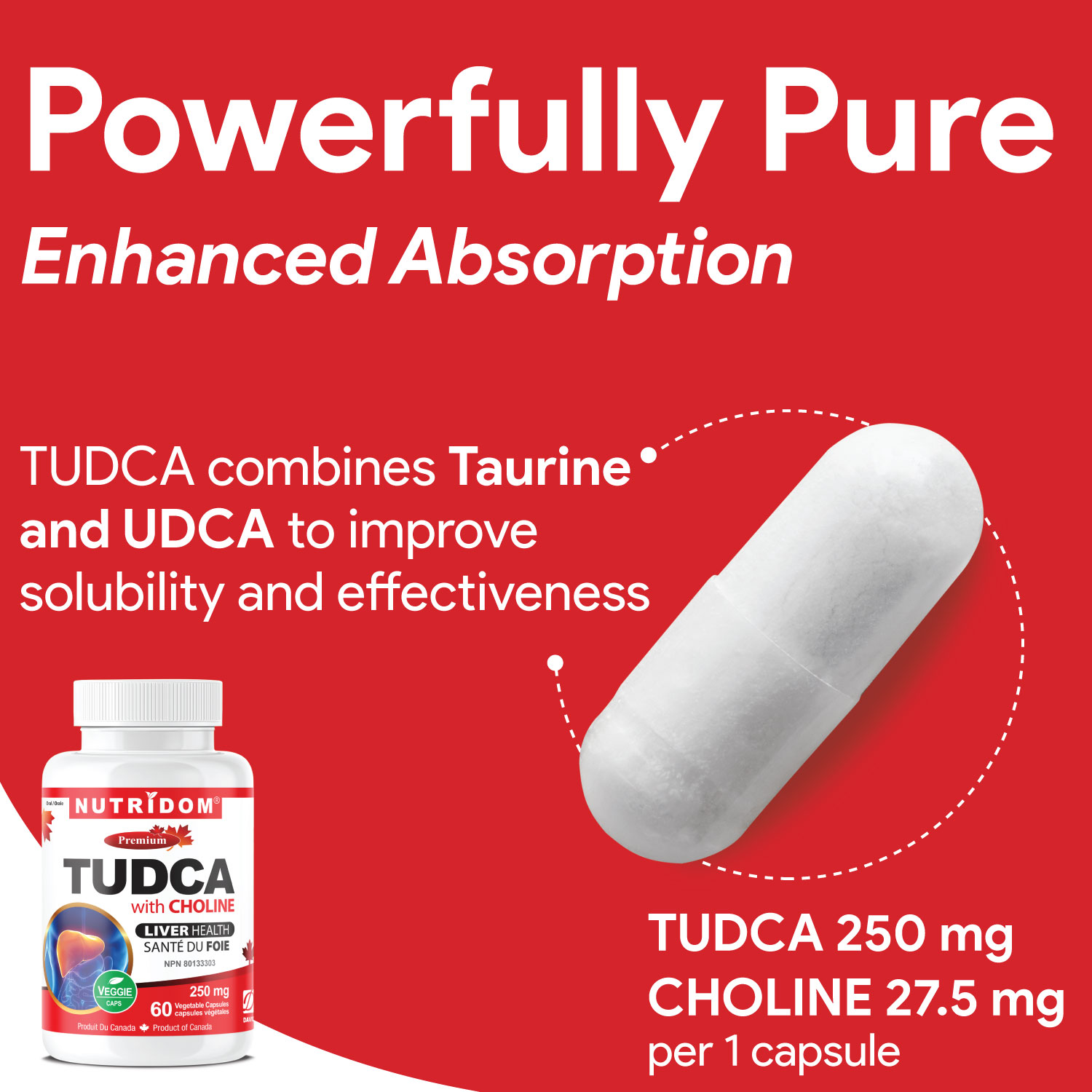 뉴트리돔 투드카 TUDCA (타우린 + 우르소데옥시콜산) 250mg 60캡슐, 2개 - 상세 이미지 2
