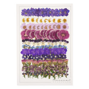 [초대용량] 압화 압화꽃 꽃송이 프레스코21 503 실사용 후기 | 효과 있을까? - 상품 이미지 3