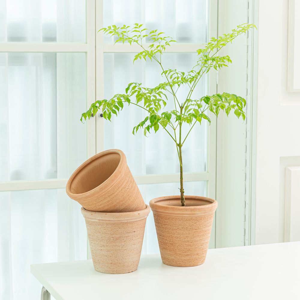 데로마 테라코타 이태리토분 빈티지 대형 인테리어화분 분갈이화분 에트루스코 20cm : 데팡스 홈가드닝 종합쇼핑몰
