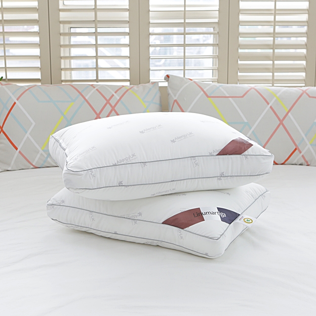 나라데코 1+1 알러지케어 진드기방지 낮은 호텔 베개솜 40x60