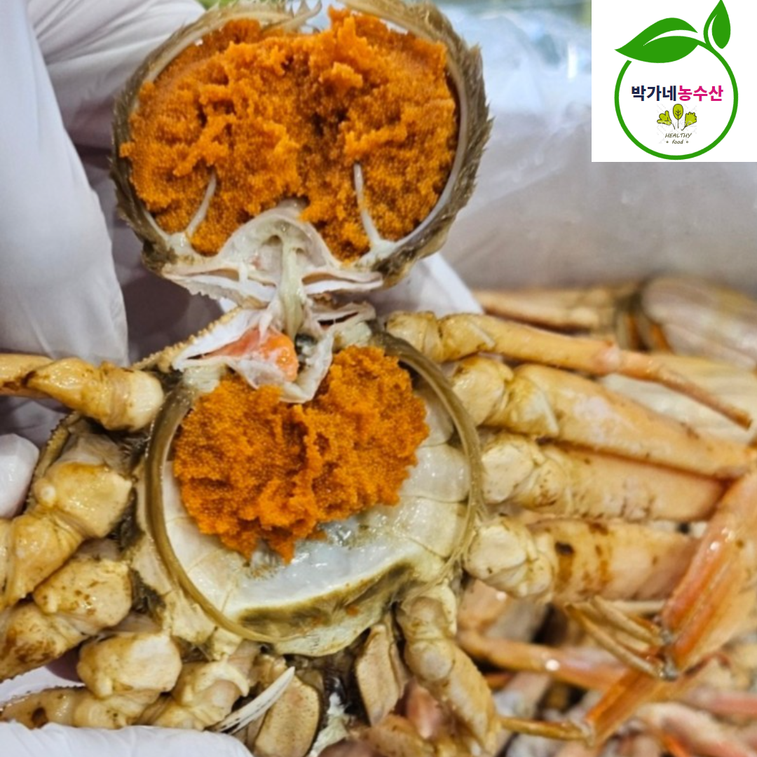 북해도 활 암 빵게 1kg 4-6미내외 일본산 대게 이미지 6