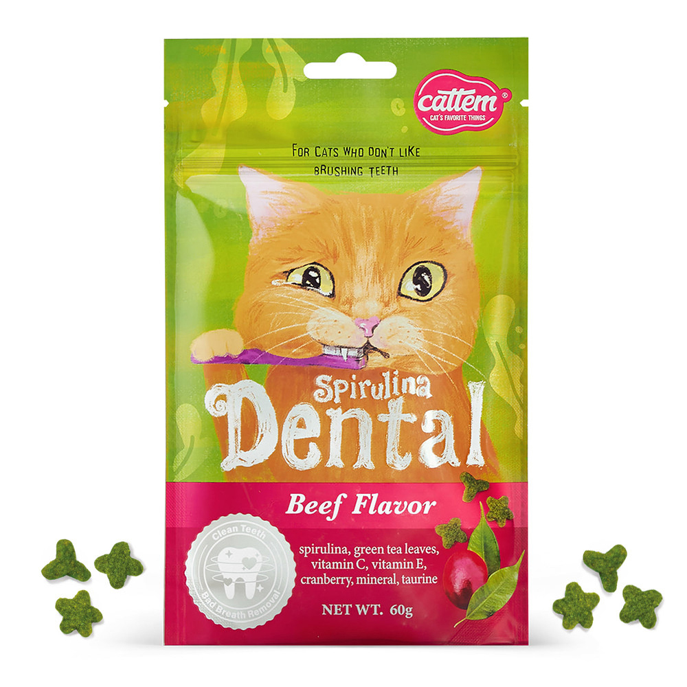 캣템 스피루리나 고양이 이빨과자 치석제거 덴탈 간식 비프, 60g, 1개 - 상품 이미지