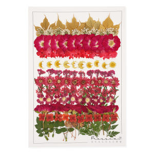 [초대용량] 압화 압화꽃 꽃송이 프레스코21 503 실사용 후기 | 효과 있을까? - 상품 이미지 4