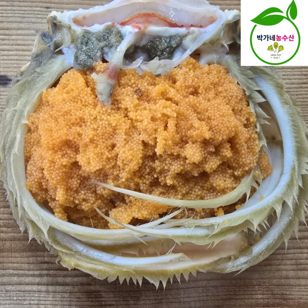 북해도 활 암 빵게 1kg 4-6미내외 일본산 대게 - 상세 이미지 5