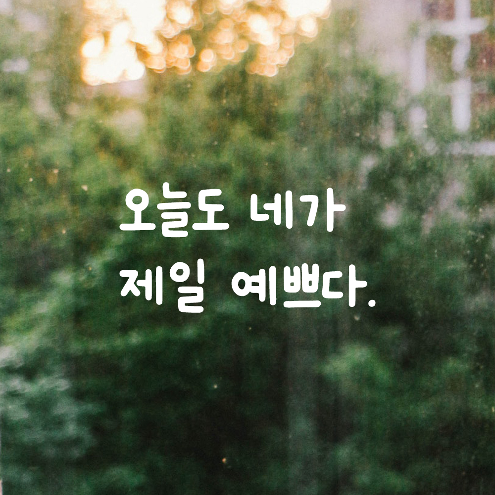 귀여운 손글씨 레터링 스티커 오늘도 네가 제일 예쁘다 LMM-088S 검정 - 상세 이미지 2