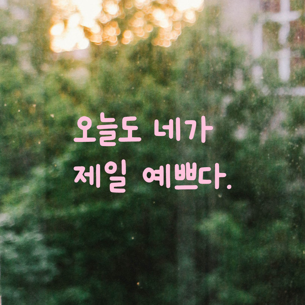 귀여운 손글씨 레터링 스티커 오늘도 네가 제일 예쁘다 LMM-088S 검정 - 상세 이미지 4