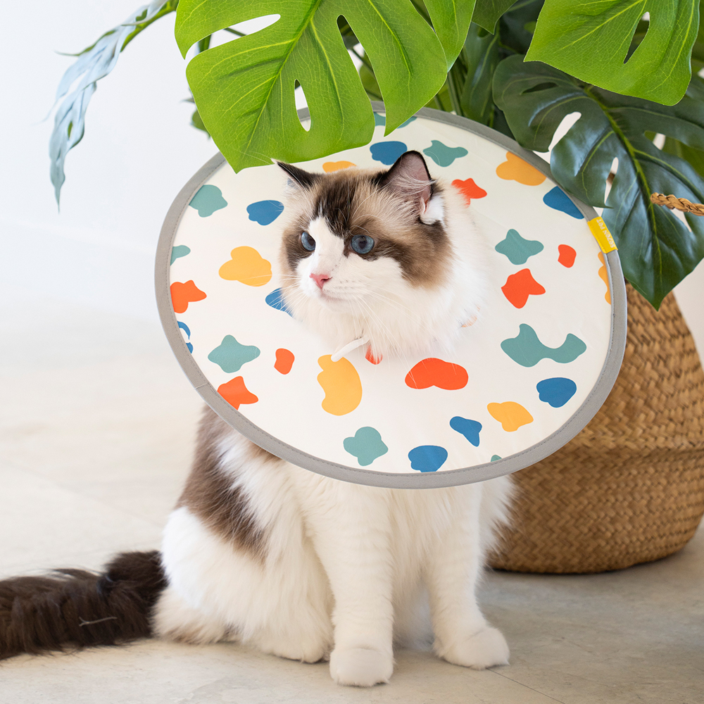 세븐펫 강아지 고양이 초경량 에어 넥카라 미용 깔대기 중성화 목보호대