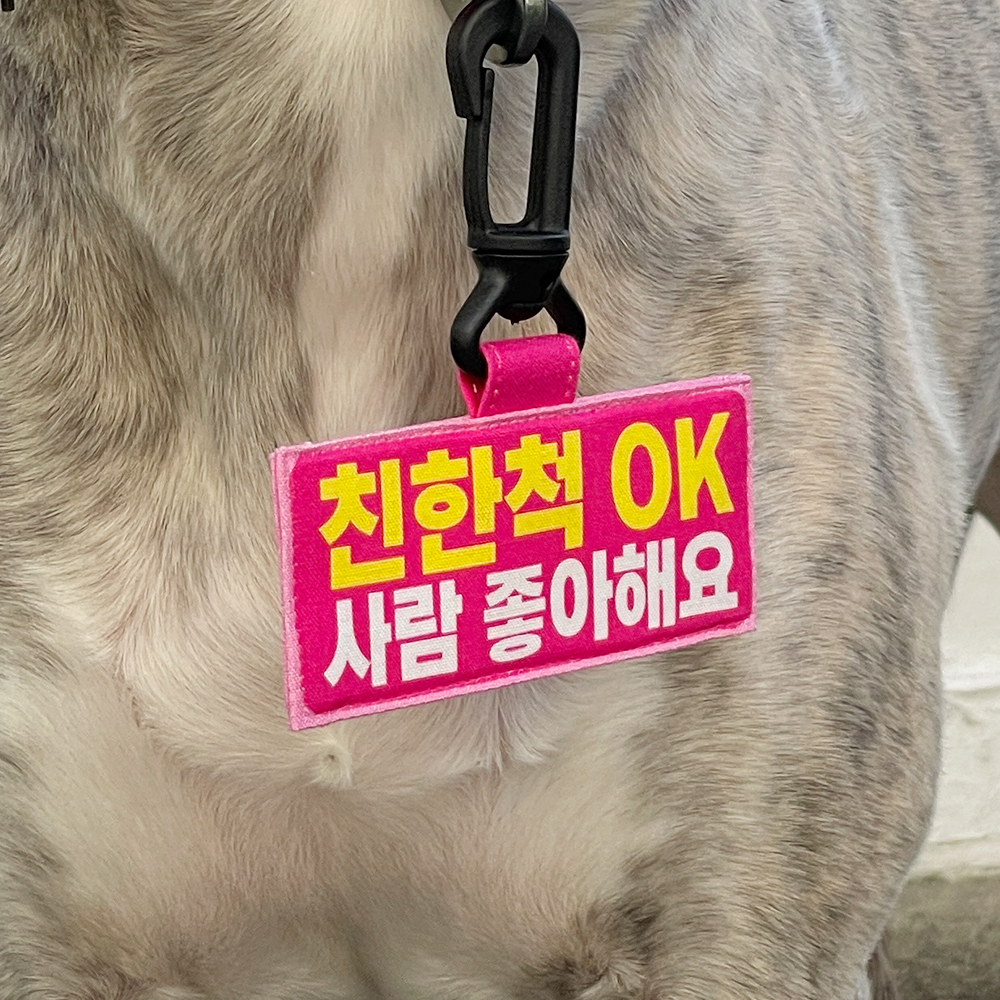 강아지 네임택 만지지마세요 문구 입력 커스텀 - 상세 이미지 3