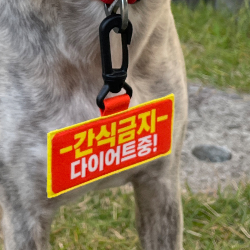 강아지 네임택 만지지마세요 문구 입력 커스텀 - 상세 이미지 2