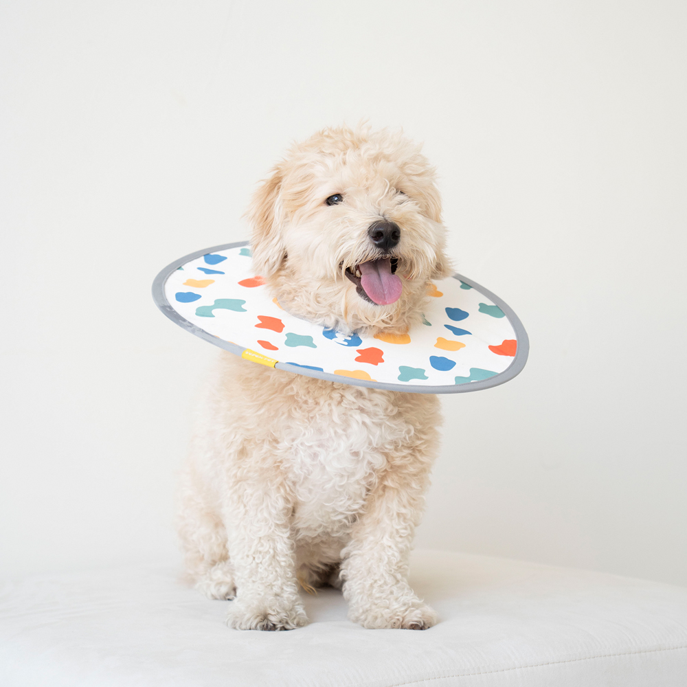 세븐펫 강아지 고양이 초경량 에어 넥카라 미용 깔대기 중성화 목보호대