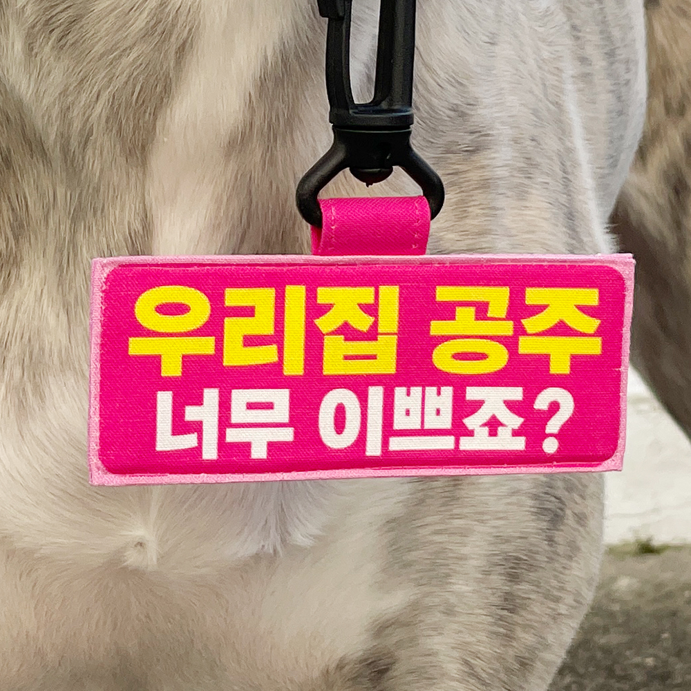 강아지 네임택 만지지마세요 문구 입력 커스텀 - 상세 이미지 4