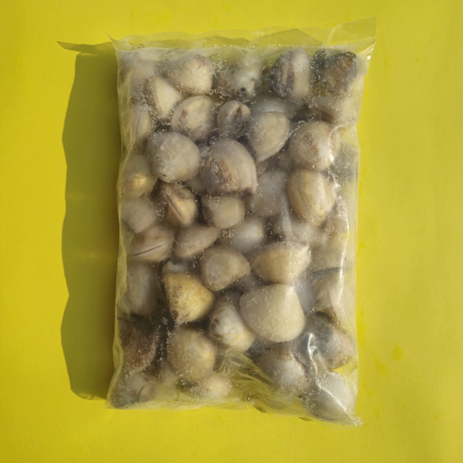 백상합 1kg 백합 생합 상합 구이용조개 칼국수조개 - 상세 이미지 2
