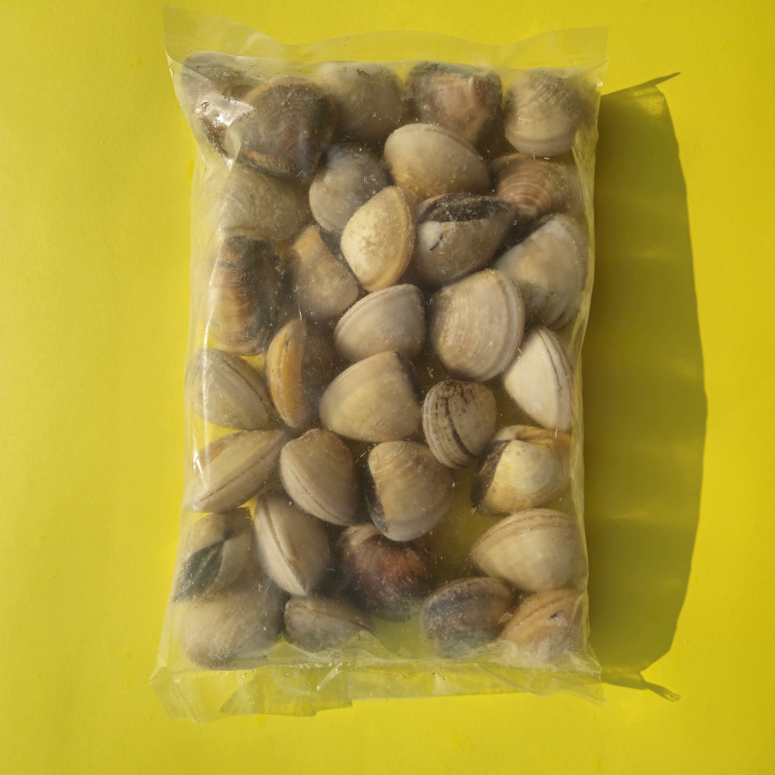 백상합 1kg 백합 생합 상합 구이용조개 칼국수조개 - 상세 이미지 3