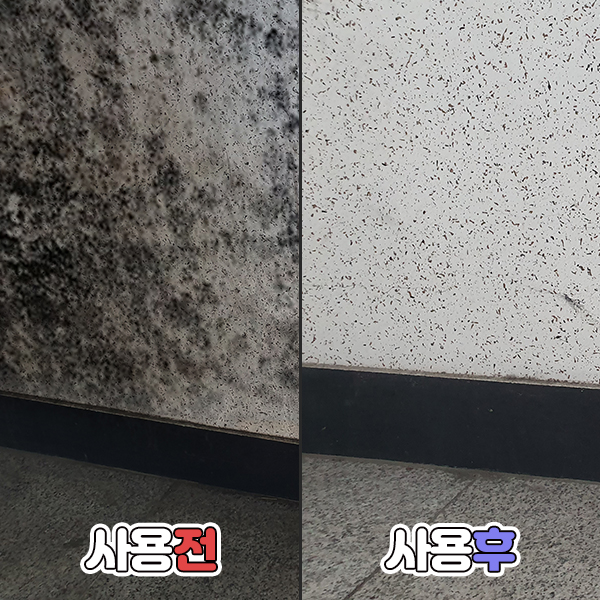 상품 이미지 8