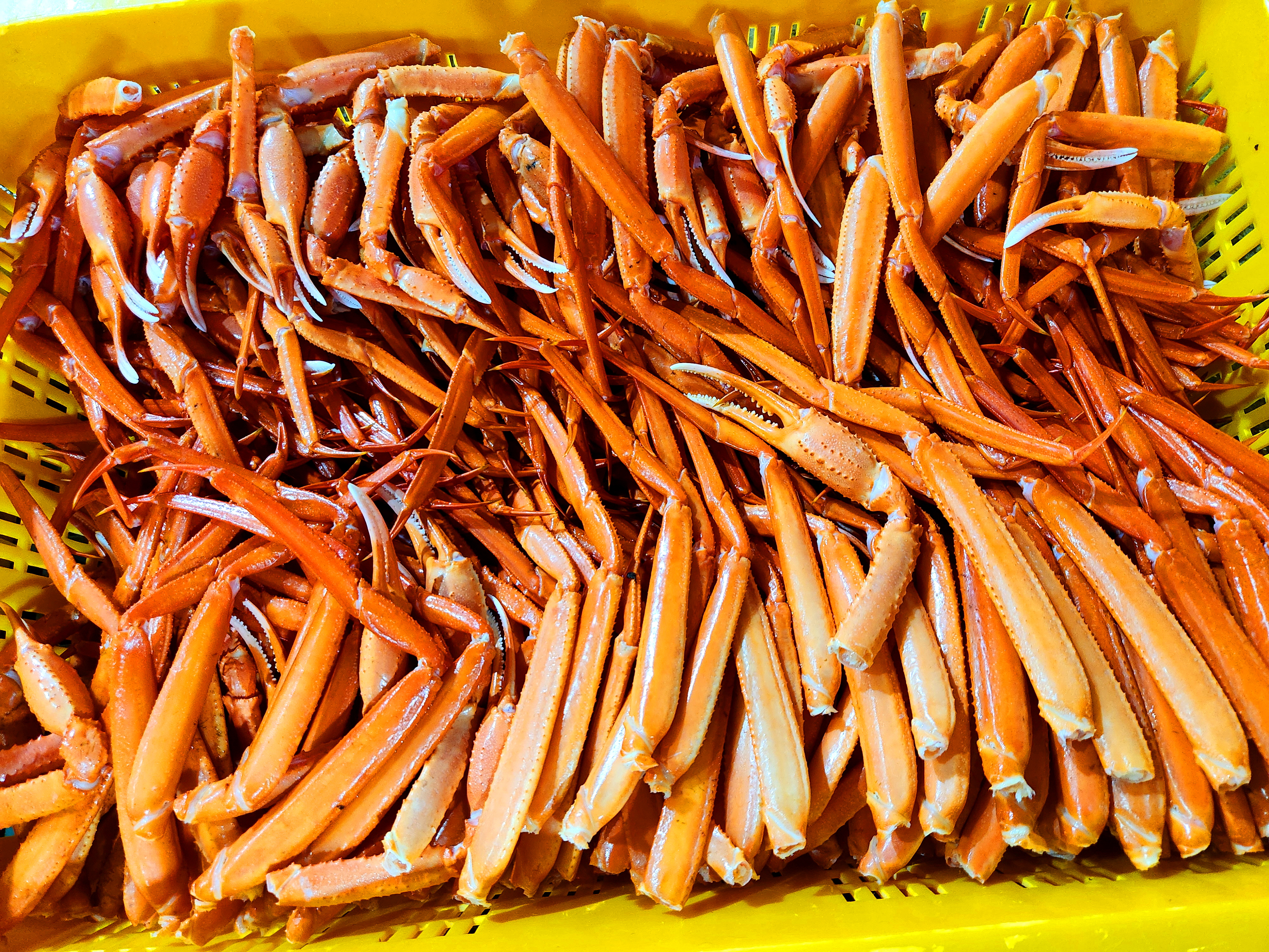 [싱싱한 울진 후포리 홍게 다리찜 1kg] 신선한 바다의 맛 / 든든한 대용량 간편식 - 상세 이미지 4