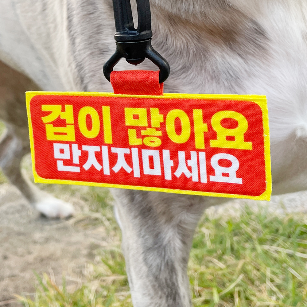 강아지 네임택 만지지마세요 문구 입력 커스텀