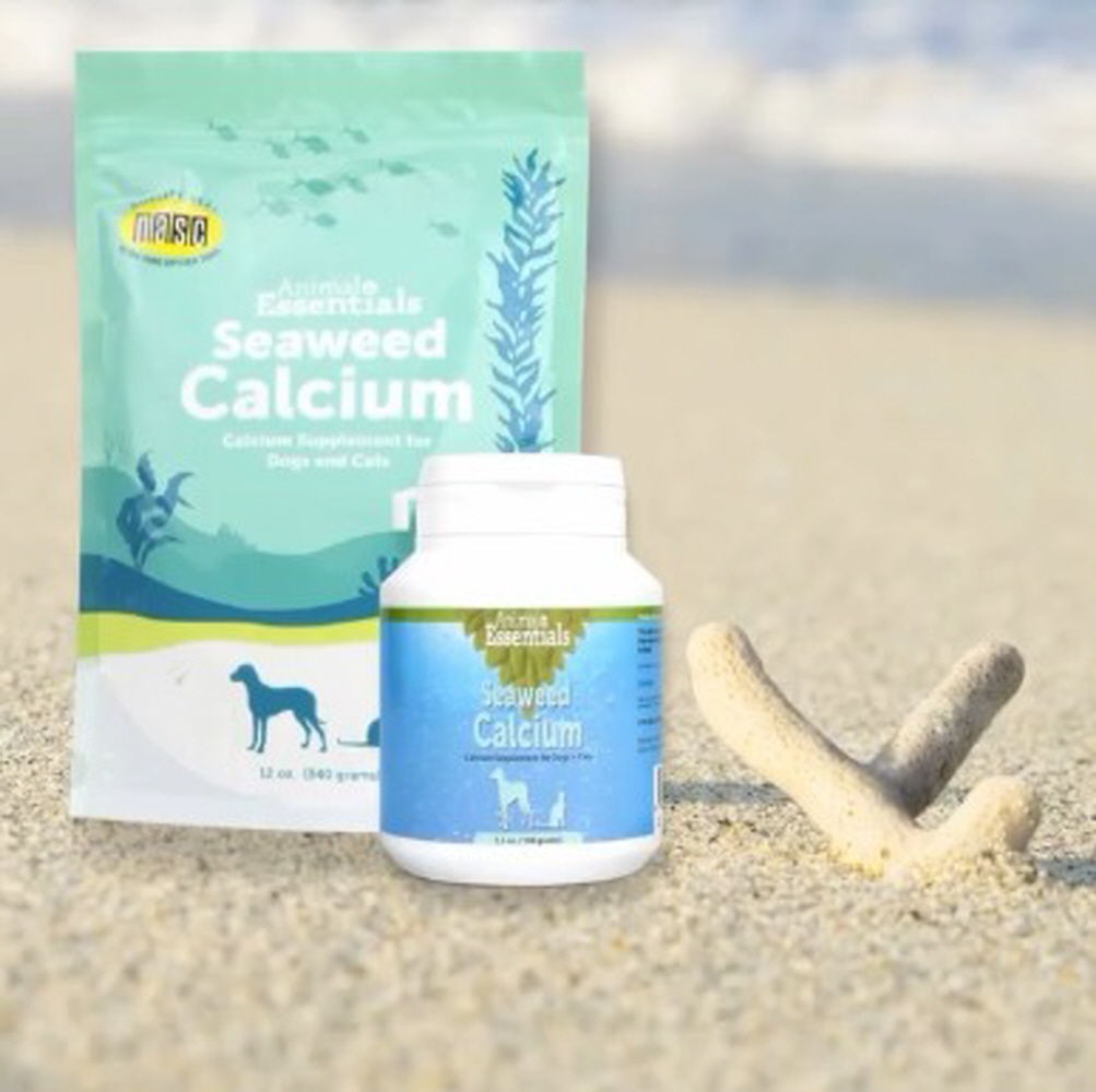 애니멀에센셜 해조칼슘 강아지 칼슘 뼈 골다공증 영양제 분말 화식 재료 솔직 후기 | 실제 사용자 리뷰 총정리 - 대표 이미지