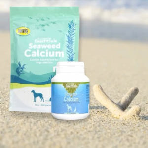애니멀에센셜 해조칼슘 강아지 칼슘 뼈 골다공증 영양제 분말 화식 재료 솔직 후기 | 실제 사용자 리뷰 총정리 - 상품 이미지 1